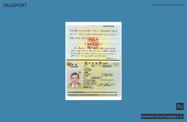 Japanischer Reisepass 2005-2015 – Beispielvorschau